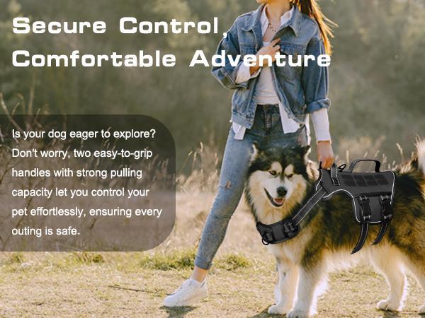 dog harness