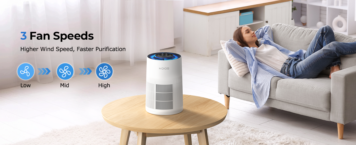 air purifiers for home large room