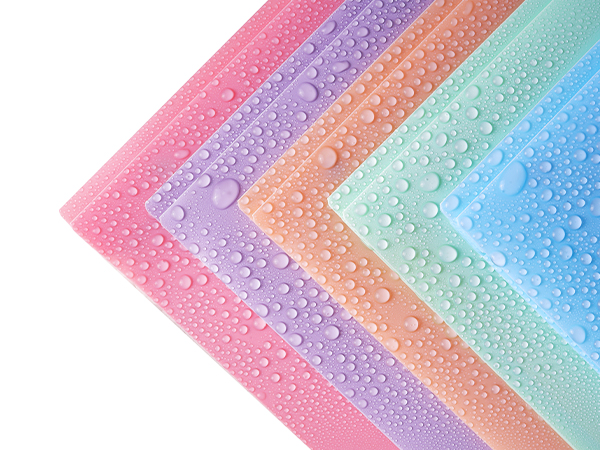 Two Pocket Folder with Prongs