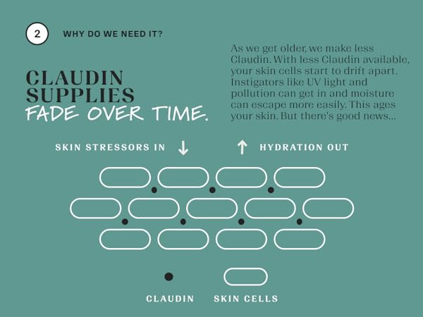 Claudin supplies fade over time
