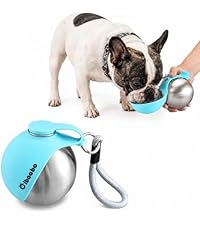 https://m.media-amazon.com/images/I/41g0q9K734L.__AC_SR200,225___.jpg