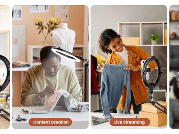 overhead phone mount with light