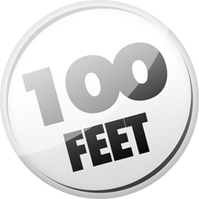 100ft speaker wire
