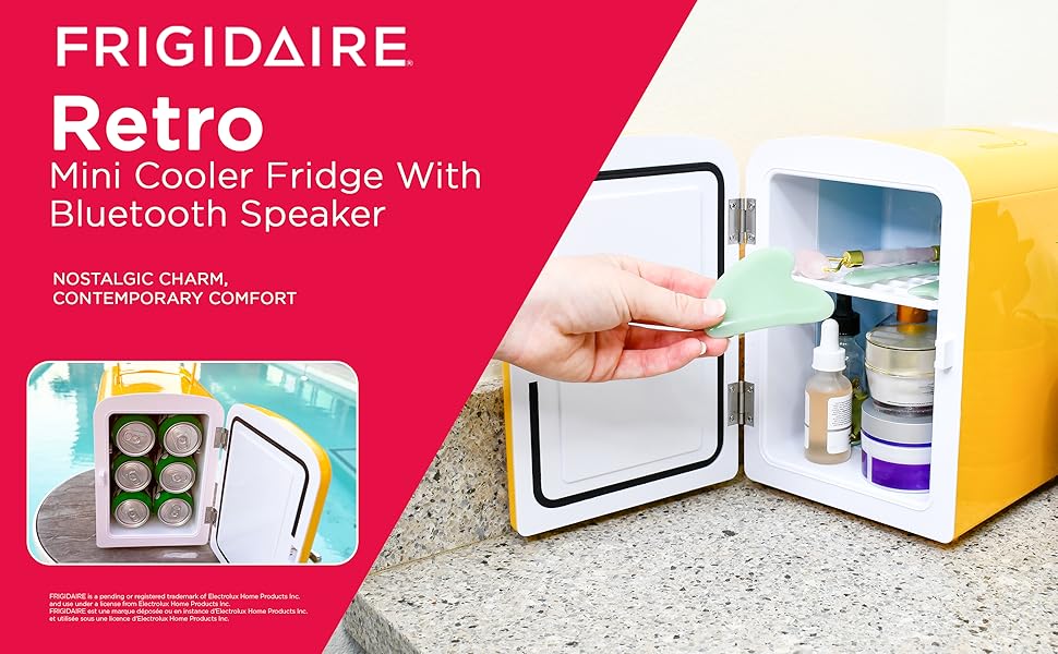 Mini Cooler Fridge