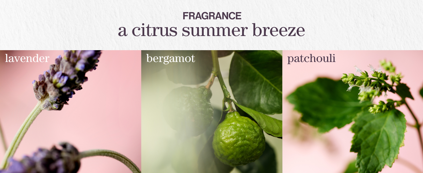 hydratesheer shampoo fragrance