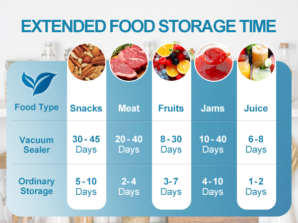 Portable Vacuum Sealer
