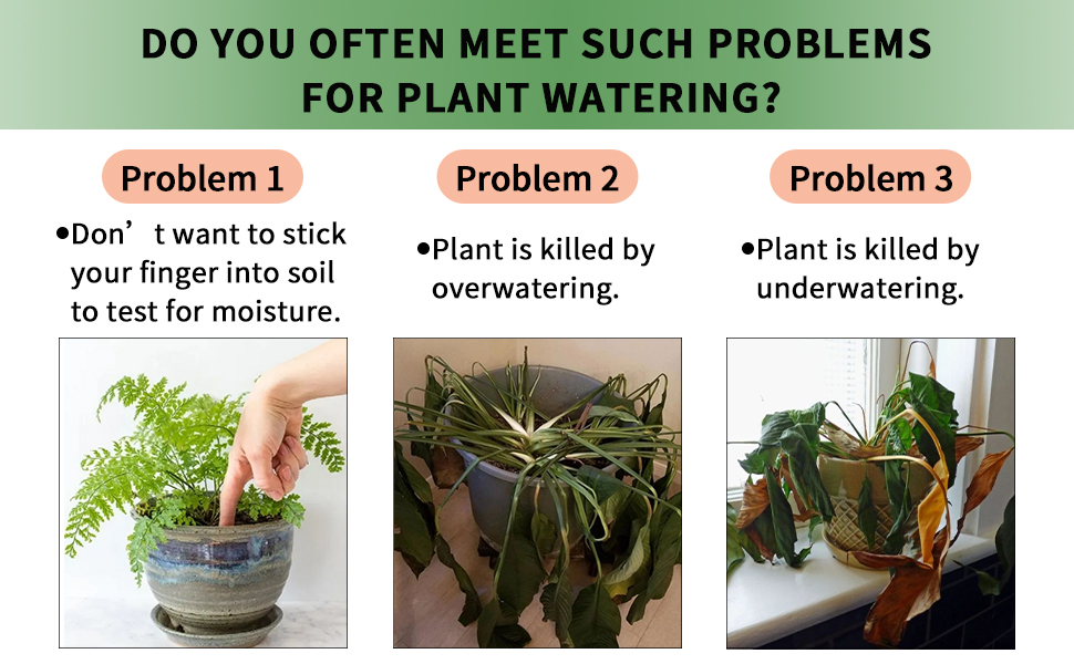 plant watering problem