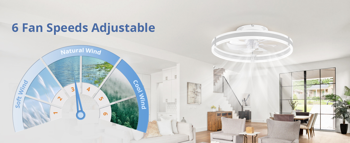 Ceiling Fans with Lights