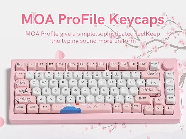 MOA ProFile Keycaps