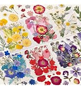 150 Pcs Dried Pressed Flowers for Resin,Real Nature Dried Flowers for Crafts Bulk Dry Flowers Lea...