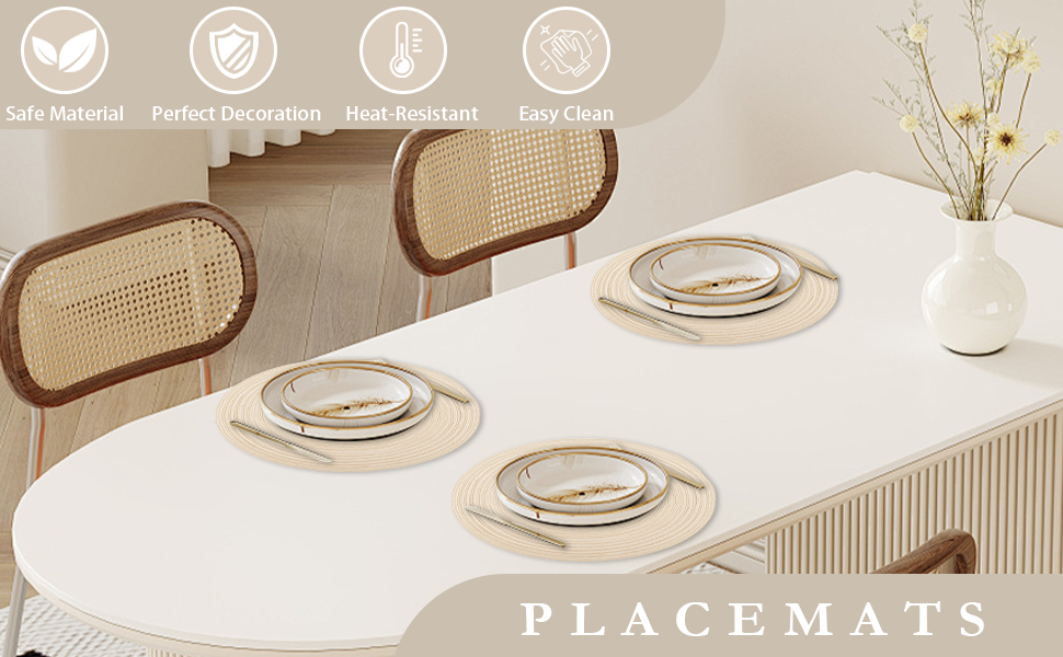 Round Braided Placemats Set of 6