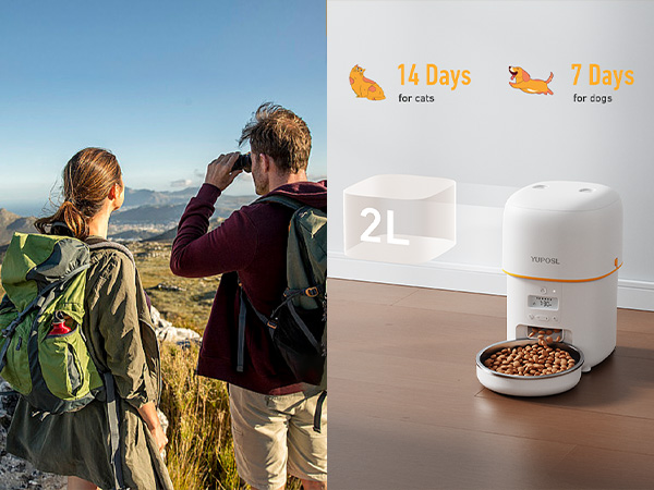 autoamtic cat feeder automatic cat food dispenser pet feeder