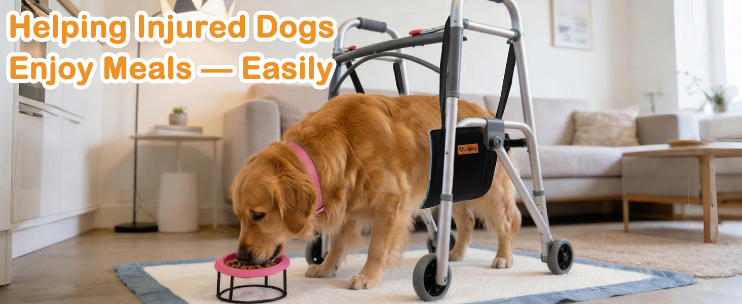 dog lift harness