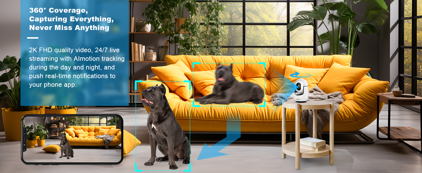 motion detection indoor cameras