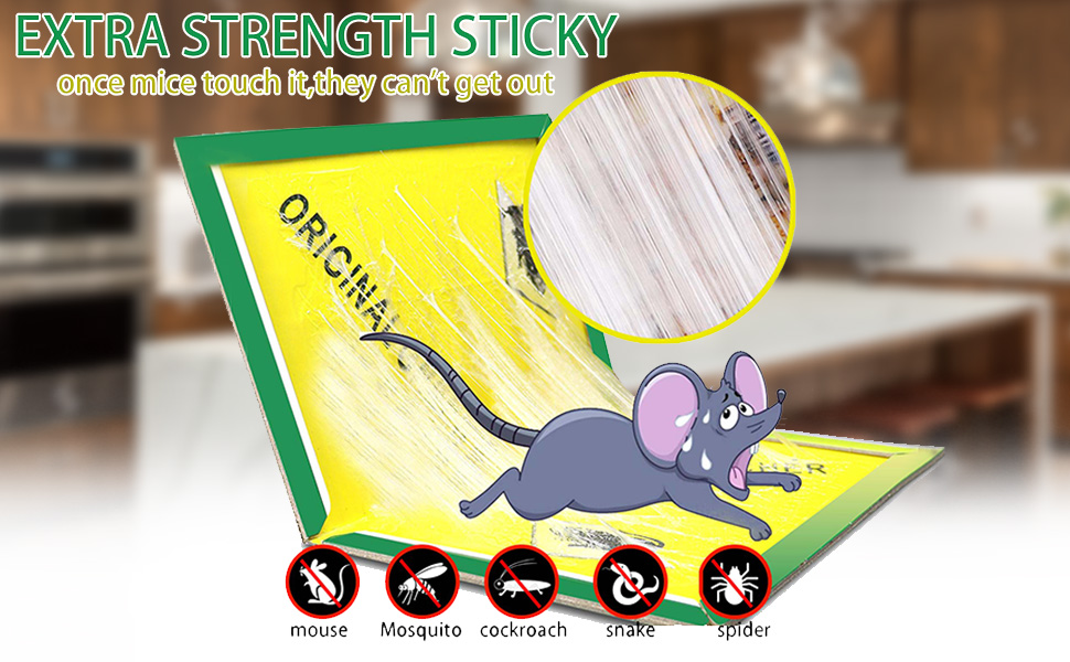 mouse glue traps