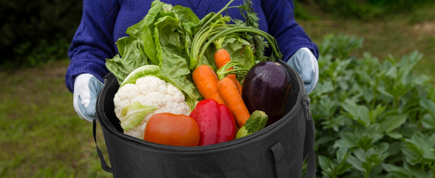 Vegetable bag