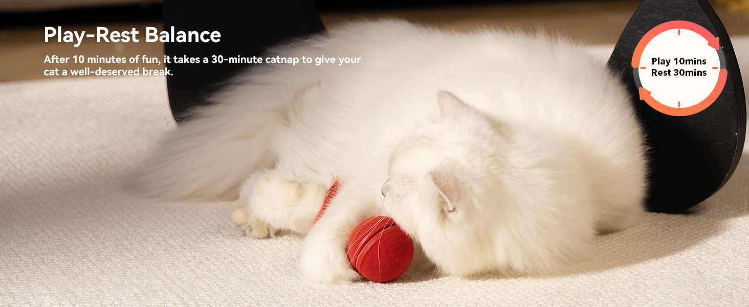 cat balls