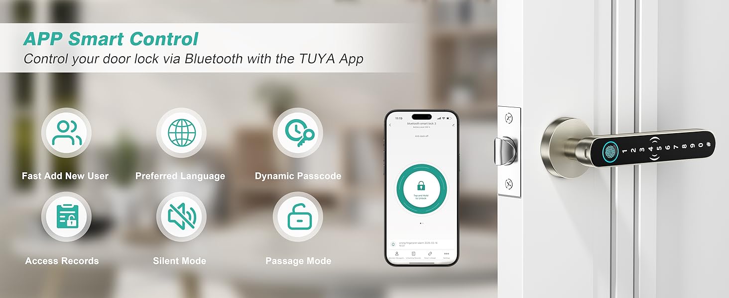 door smart lock entry