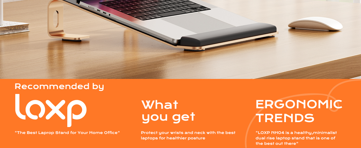 Aluminum Laptop Stand,Ergonomic Detachable Computer Stand,Riser Holder Notebook Stand