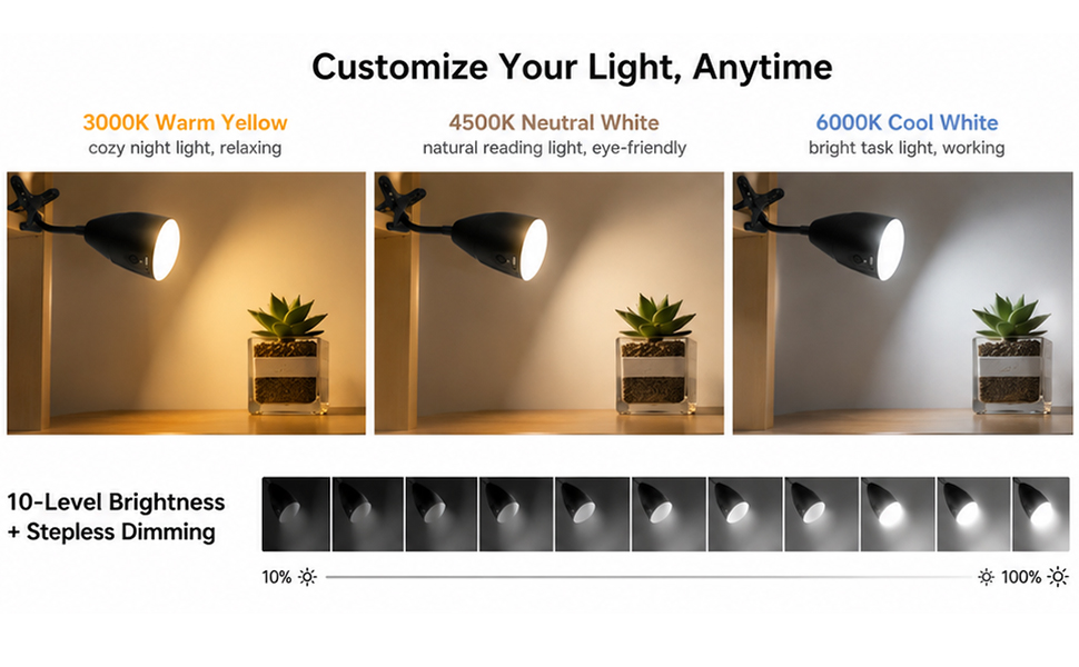10 level brightness