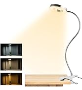 Clip on Light Reading Lights , 48 LED USB Desk Lamp with 3 Color Modes 10 Brightness, Eye Protect...