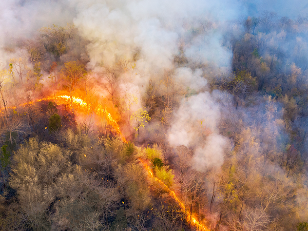 air purifiers for home