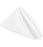 Hiasan Cloth Napkins Set of 6, 18 x 18 Inch, Washable White Dinner Napkins with Hemmed Edges for ...