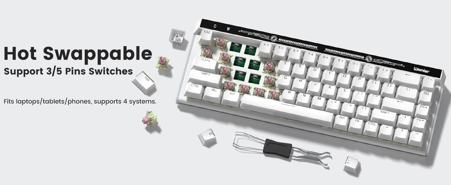 Hot-Swappable Switches