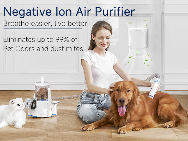 plug in air ionizer