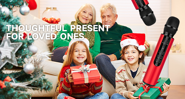 microphone with speaker