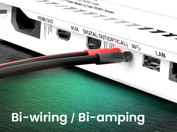 Bi-wiring / Bi-amping