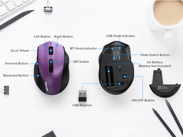 mouse