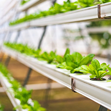 commercial air pump air pump aquarium aquarium air pump pond air pump hydroponic air pump