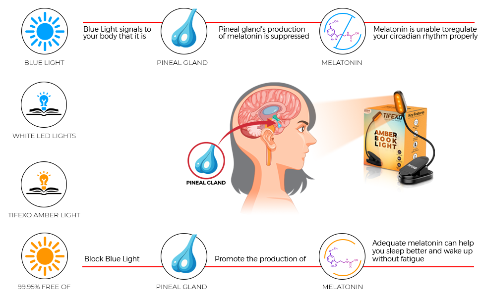 Detox, TIFEXO Cycle