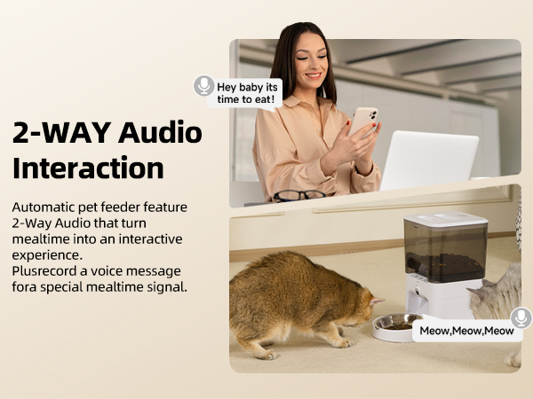 2-Way audio interaction