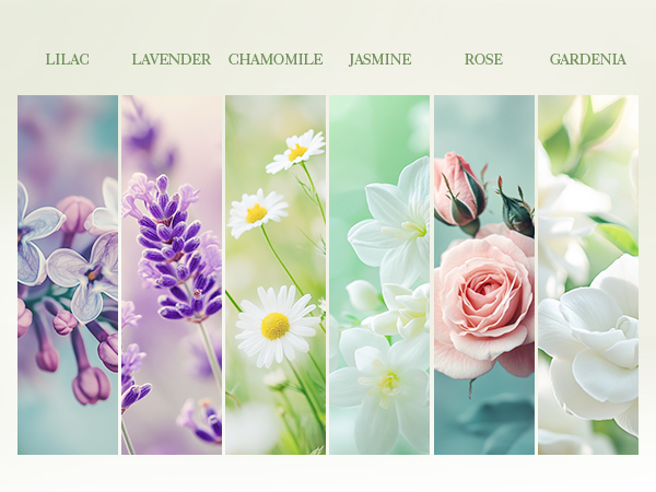 Essential Oils Set 