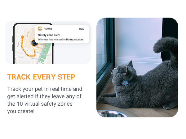 pawfit