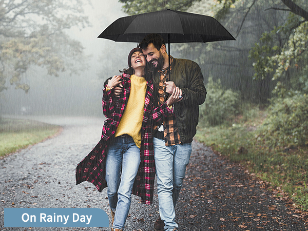 Windproof Travel Umbrella