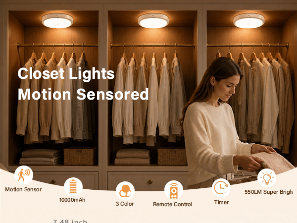 motion sensor ceiling light indoor