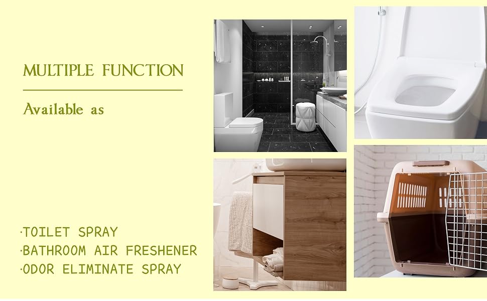 multiple function toilet spray