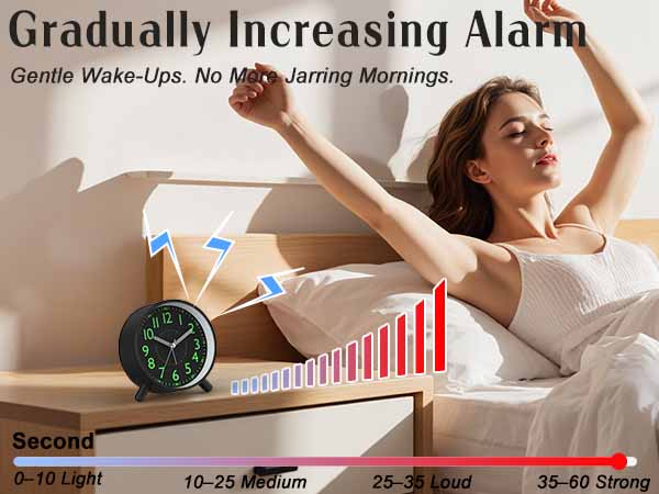 Alarm Function
