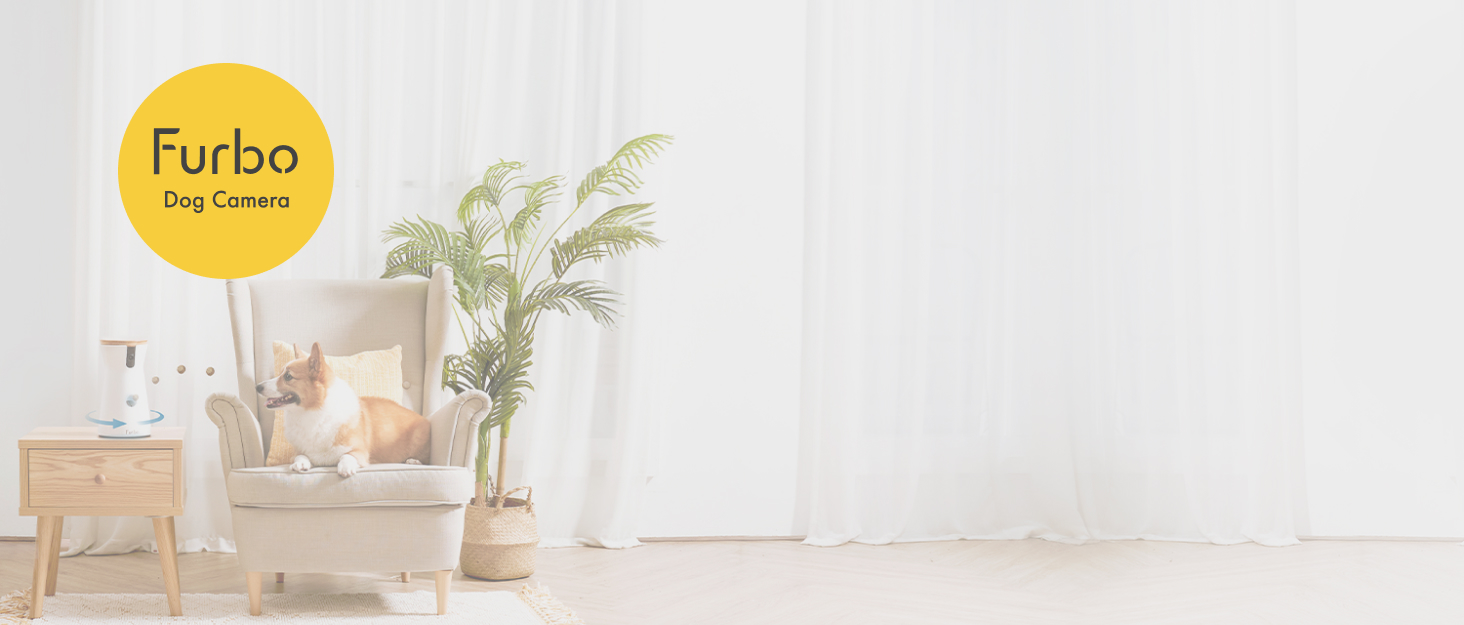 Furbo Dog Camera Background image