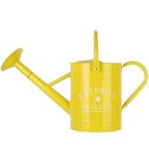Garutom Galvanized Watering Can for Outdoor Indoor Plants, 1 Gallon Decorative Countryside Water ...