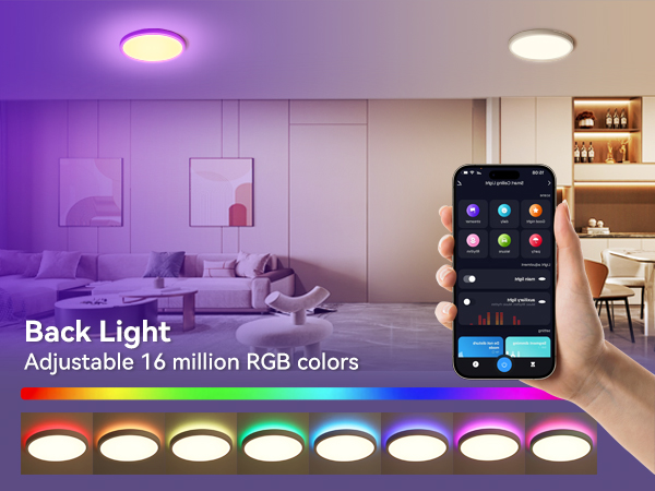 flush mount ceiling light