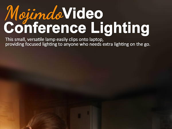 video conference light