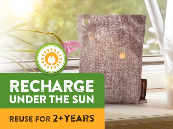 odor charcoal absorber eliminator bags air bamboo deodorizer activated closet bag car purifying