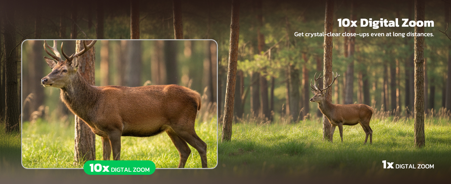 night vision goggles