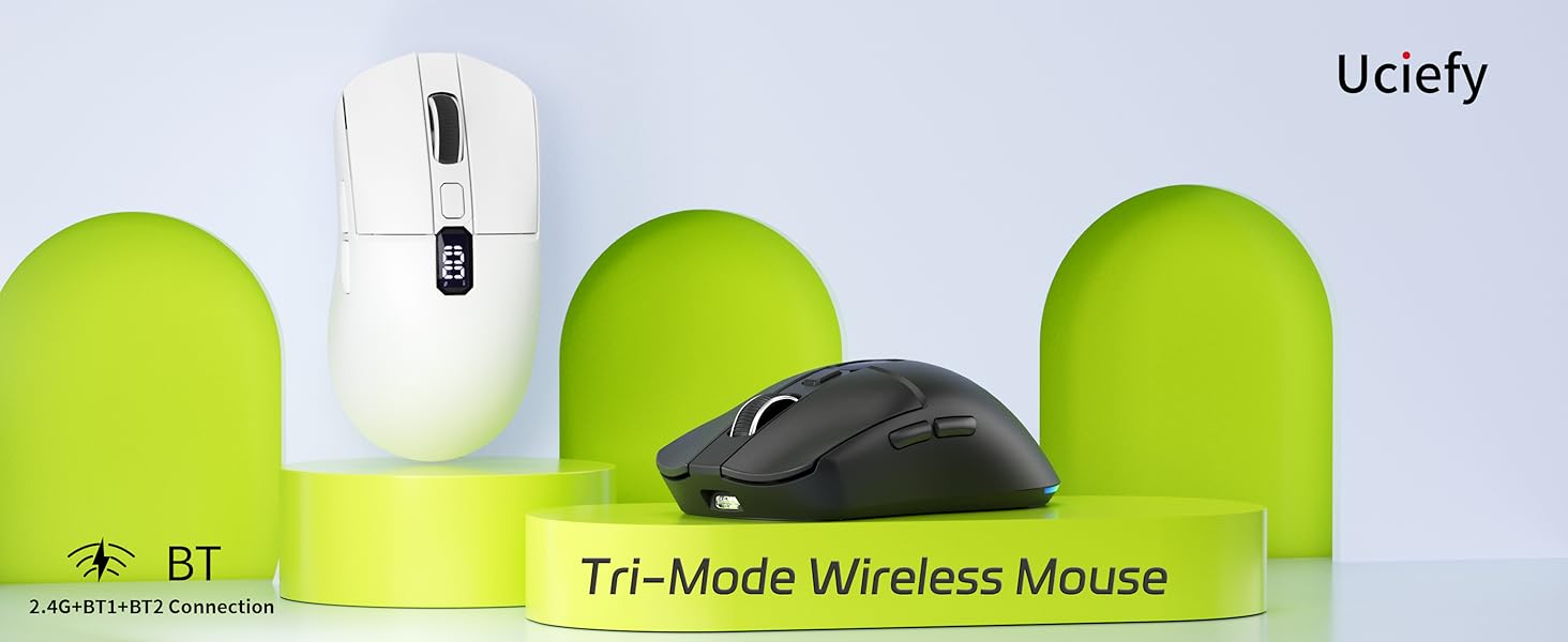 mouse
