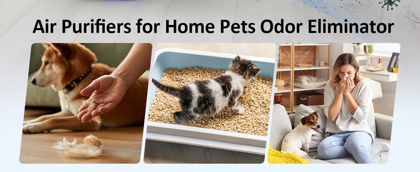 dust remover air purifier