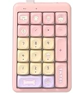 FOPATO S21 Number Pad, 21 Keys Hot Swappable Numpad, 3-Mode Bluetooth Wireless Numeric Keypad, Ga...